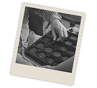 Chocovia Timeline